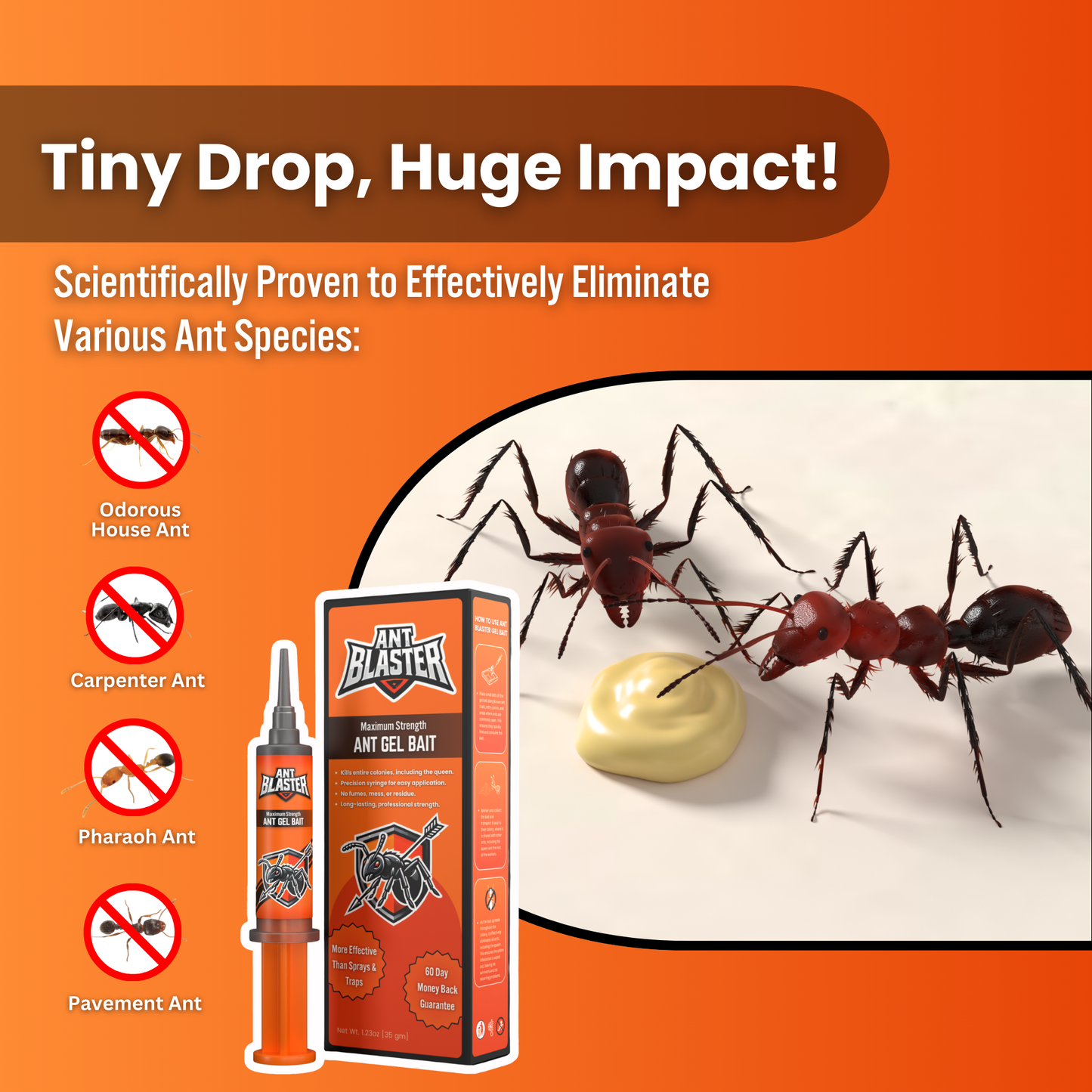 Ant Blaster Gel Bait
